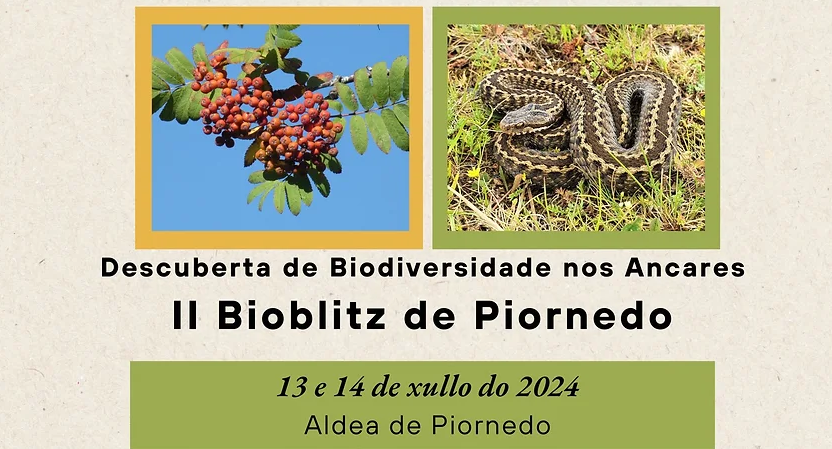 Bioblitz Piornedo